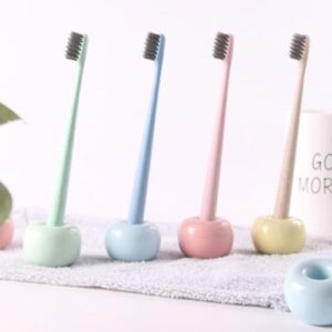 Toothbrush holder DIATOMACEOUS EARTH [#3COLORS]