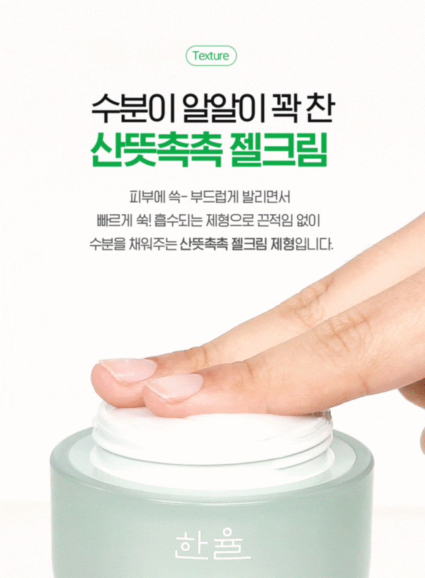 Pure Artemisia Watery Calming Cream Special SET - Image 4
