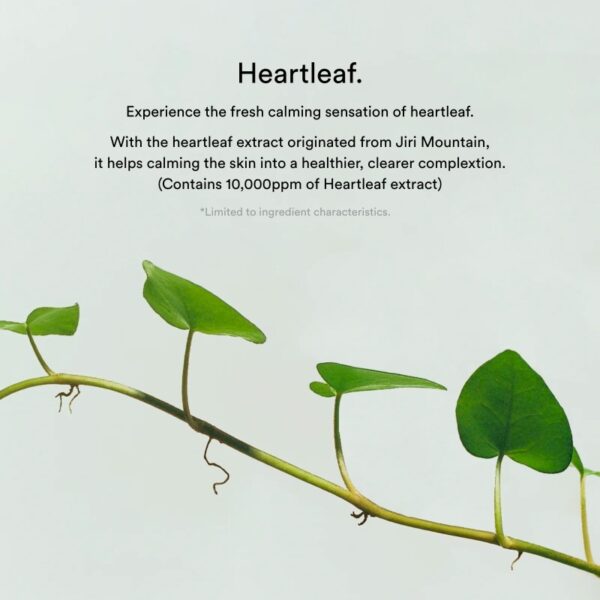 Abib Collagen gel mask Heartleaf jellly [#4 masks] - Image 5