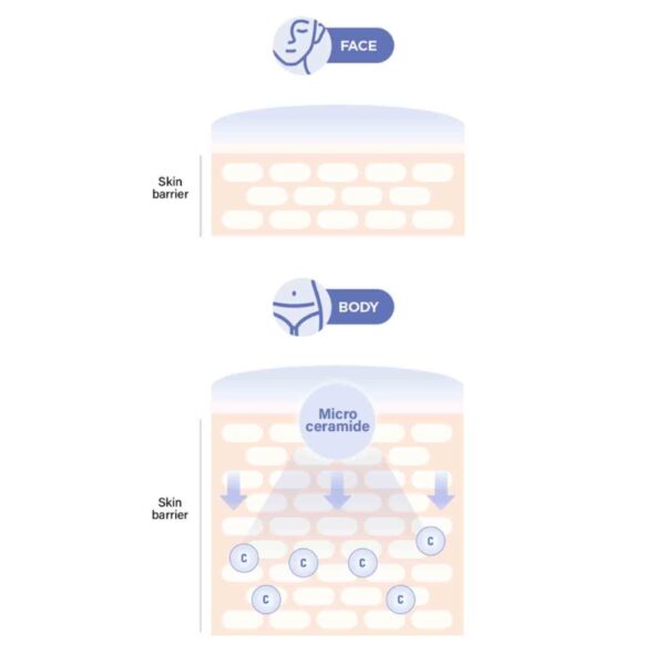 Aestura Atobarrier 365 Body Lotion 400ml + 50ml - Image 4