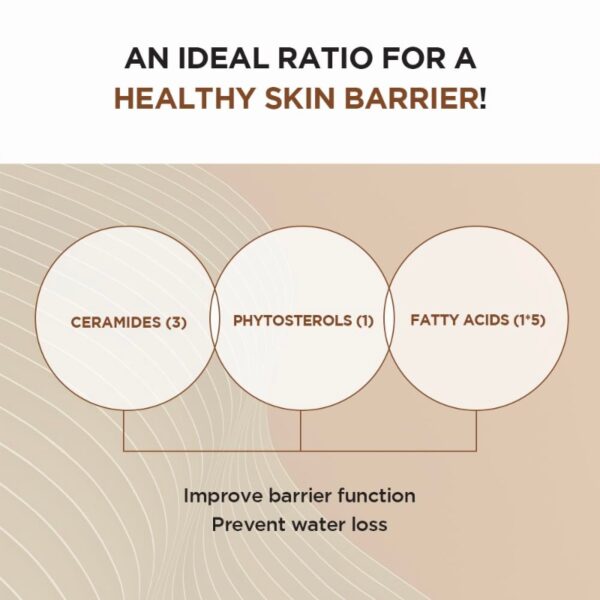SKIN1004 Probio-cica Intensive Ampoule 50ml - Image 4
