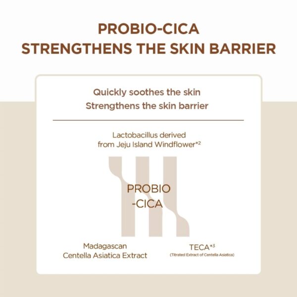 SKIN1004 Probio-cica Intensive Ampoule 50ml - Image 5