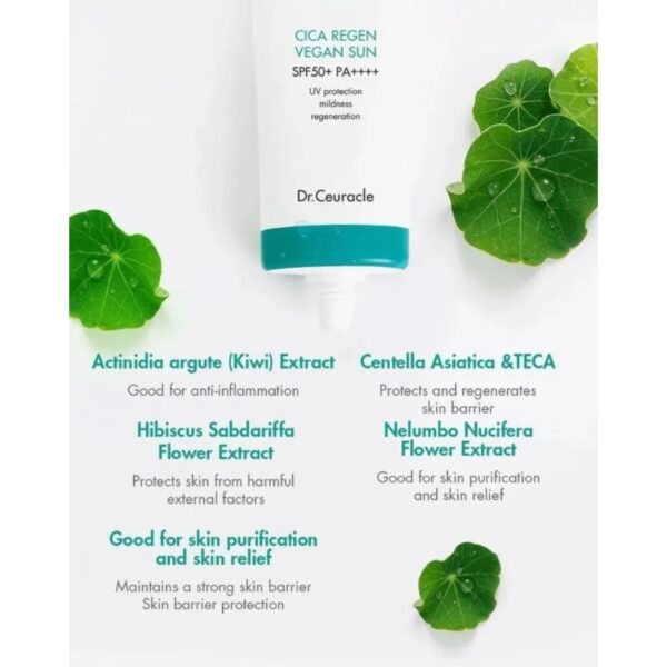 Dr. Ceuracle Cica Regen Vegan Sun SPF50+ PA++++ - Image 6