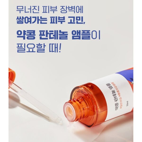 ROUND LAB Soybean Panthenol Ampoule 50mL Set (+Cream 20mL+Tone-Up Sunscreen 10ml) - Image 3