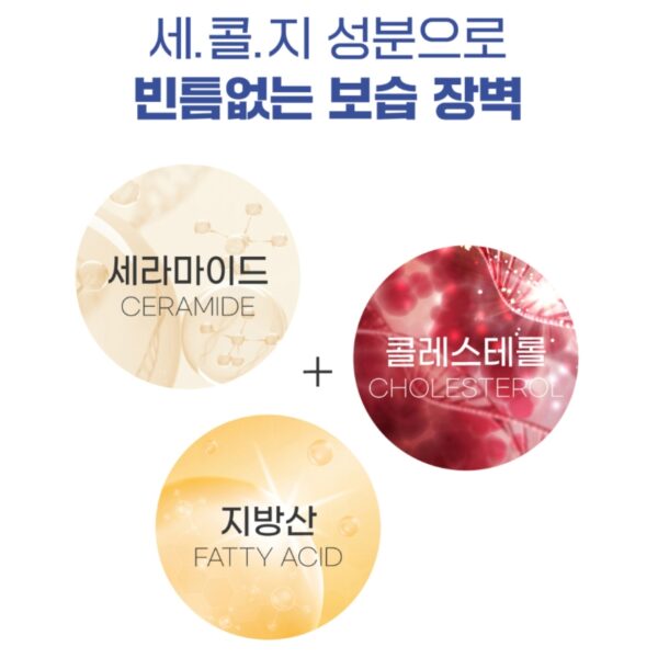 NEW💖 ROUND LAB Soybean Panthenol Cream 80mL - Image 6