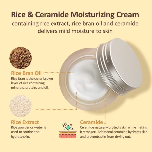 THE FACE SHOP Rice & Ceramide Moisturizing Cream - Image 8