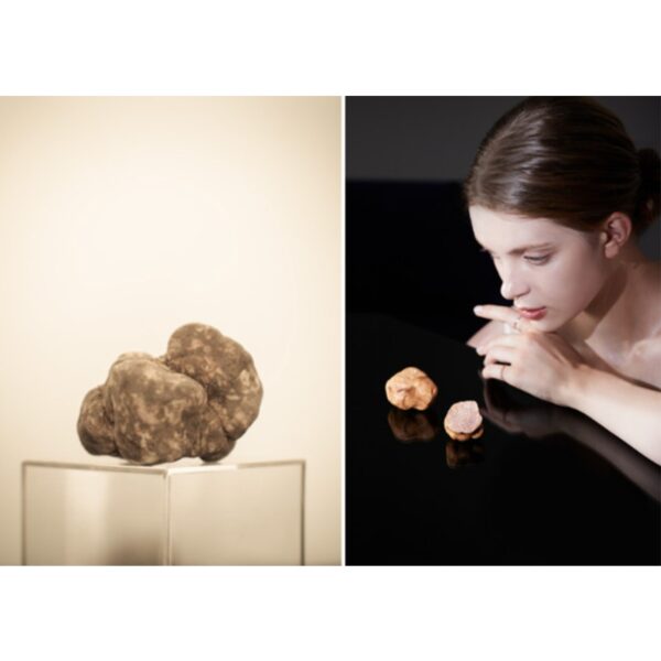 d'Alba White Truffle Ampoule Balm Anti-Wrinkle Cream - Image 4