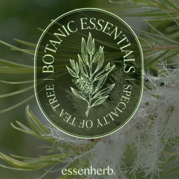 essenHERB Tea Tree 100 Oil Double Set (+Cotton Swab 50P) - Image 4