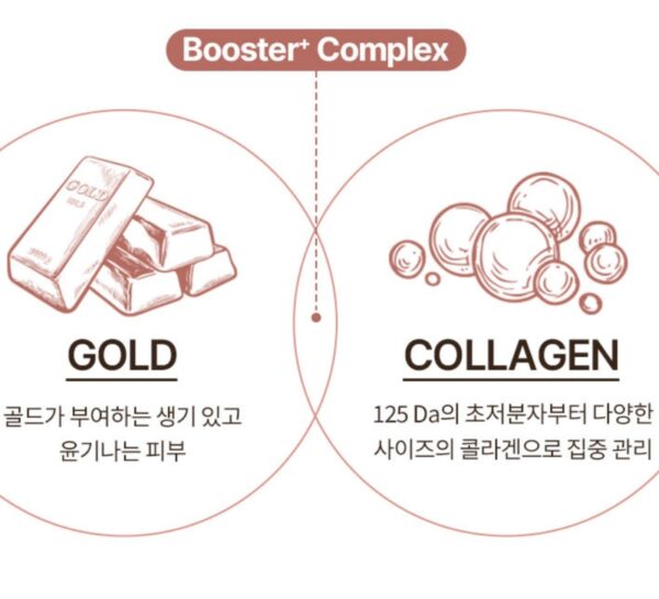SNP Premium Gold Collagen Capsule Ampoule [#30 capsules] - Image 4