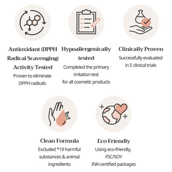 V&A BEAUTY Antioxidant Hydration Cream & Ampoule Special Set (+ Antioxidant Plus 30pads) - Image 3