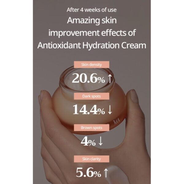 V&A BEAUTY Antioxidant Hydration Cream & Ampoule Special Set (+ Antioxidant Plus 30pads) - Image 5