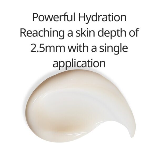V&A BEAUTY Antioxidant Hydration Cream & Ampoule Special Set (+ Antioxidant Plus 30pads) - Image 6