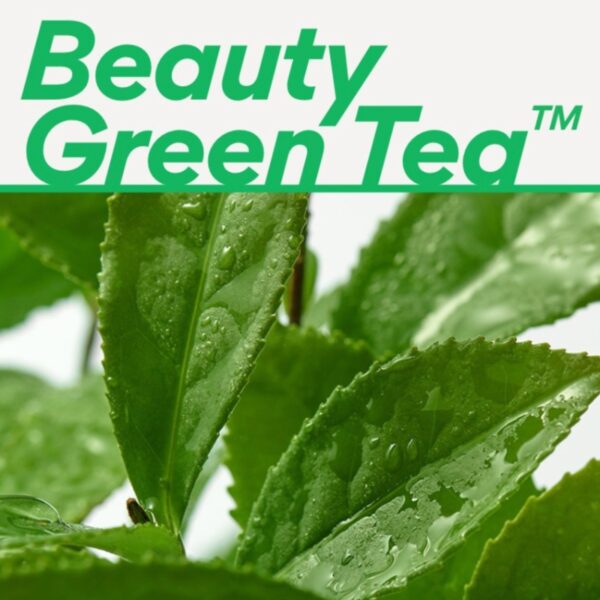 INNISFREE Green Tea Hyaluronic SkinCare Set - Image 7