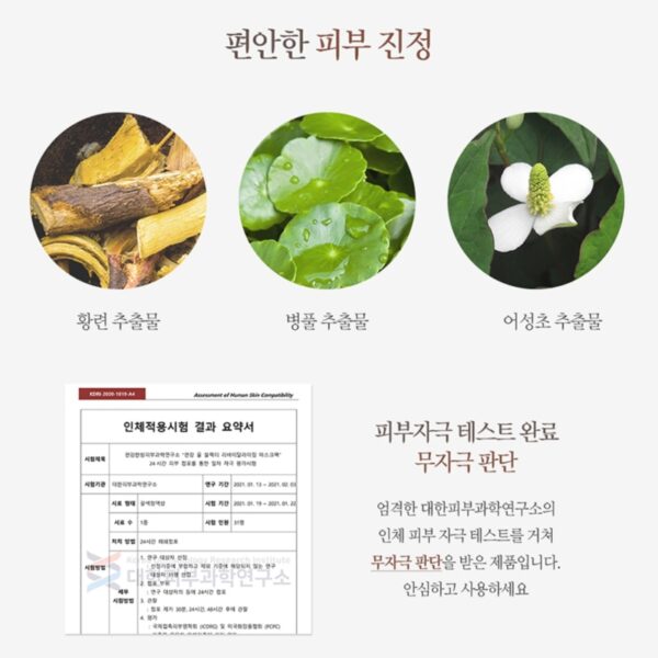 PYUNKANG YUL Black Tea Revitalising Mask Pack Set [10 Masks] - Image 4