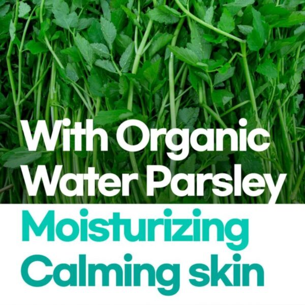 rataplan Water Parsley Calming Moisture Cream 75mL - Image 5