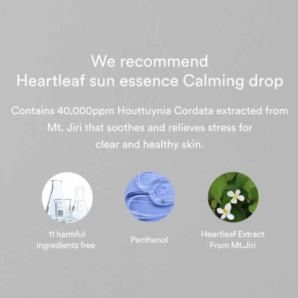 Abib Heartleaf Sun Essence Calming Drop SPF50+PA++++ - Image 3