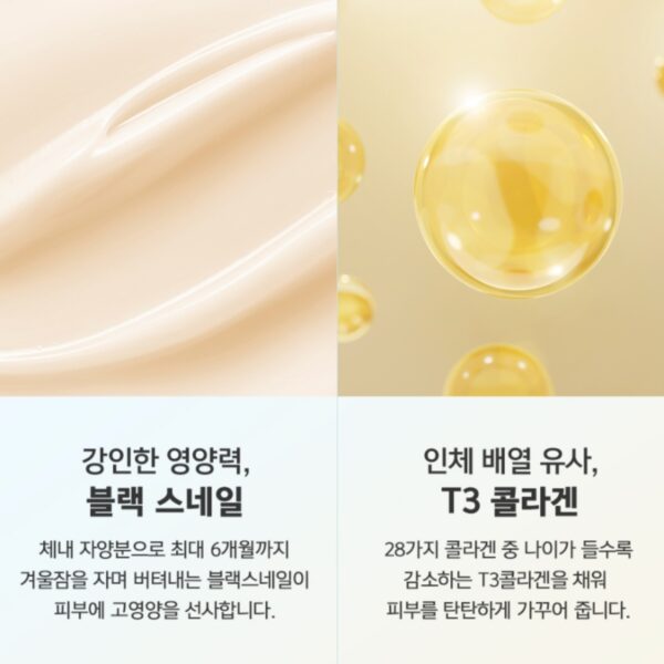 Dr. G Black Snail Lifting Mask Sheet [#5 masks] - Image 4