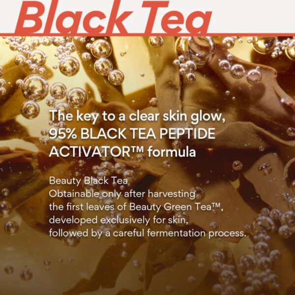 INNISFREE Black Tea Youth Enhancing Cream - Image 5