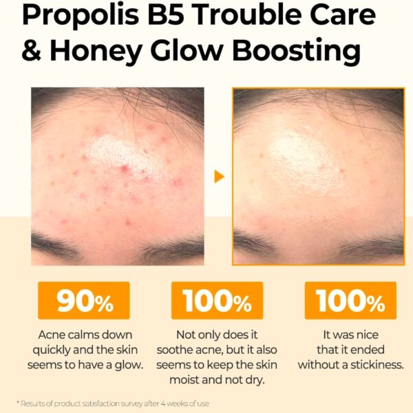 SOME BY MI Propolis B5 Glow Barrier Caliming Toner - Image 3