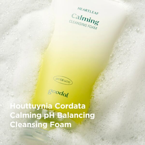 Goodal Heartleaf Calming Cleansing Foam (+Cream 10ml) - Image 3