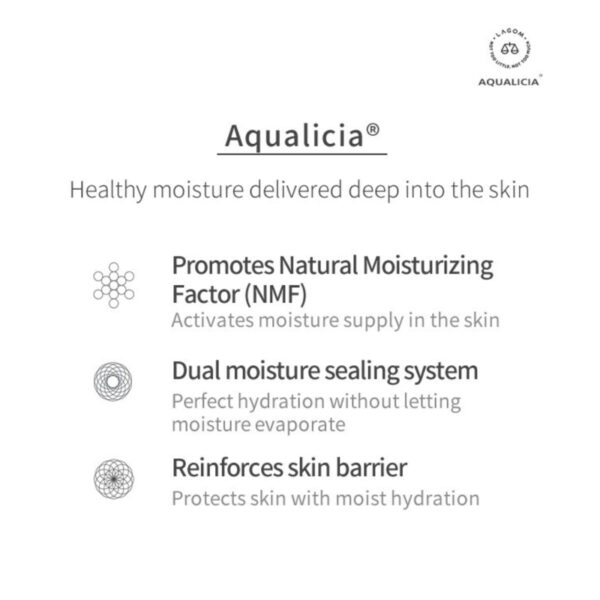 Lagom Cellup Micro Foam Cleanser - Image 4