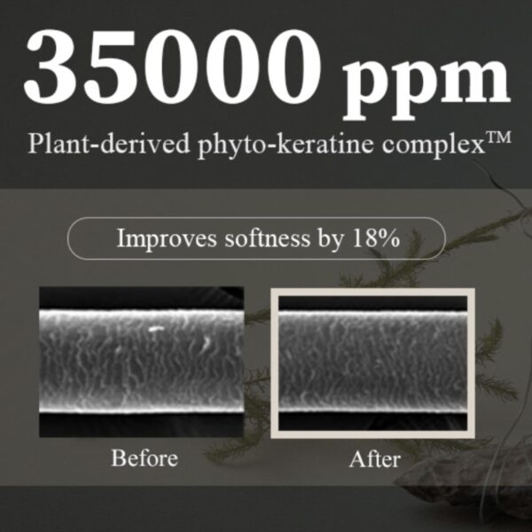 Longtake Sandalwood Intensive Treatment 300mL Special Set - Image 4