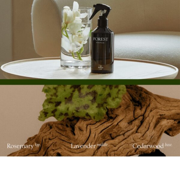 ohscent Air Perfume LOVE 500ml Set (+herbal Woody mini) - Image 5