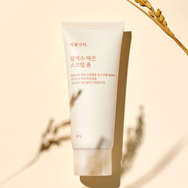 Singmulnara Rice Bran Water Scrub Foam