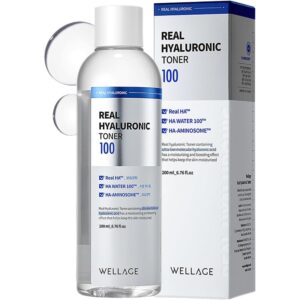 WELLAGE Real Hyaluronic 100 Toner