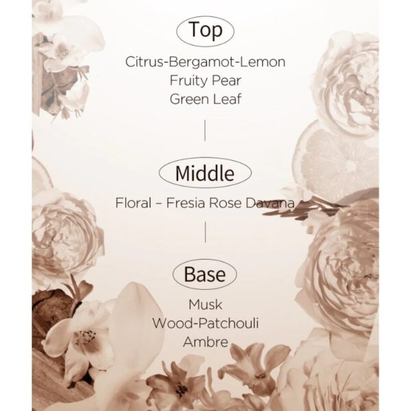 MISE EN SCENE Salon 10 No Wash Ampoule Treatment 270mL Special Set - Image 4