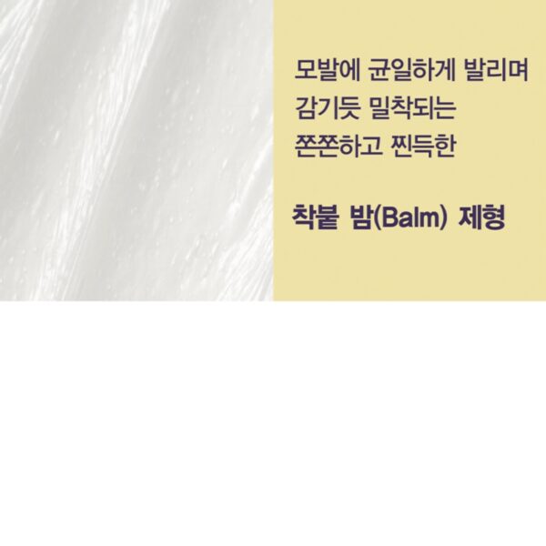 MISE EN SCENE Salon 10 Professional Cica Protein Treatment - Image 4