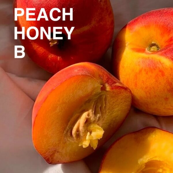 ROM&ND Juicy Lasting Tint [#36 Peach Honey B] - Image 4