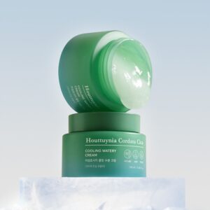 TONYMOLY Houttuynia Cordata Cica Cooling Watery Cream 100ml