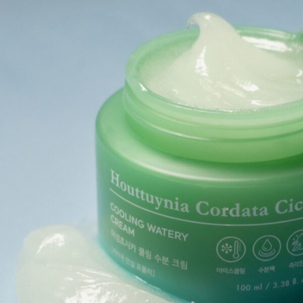 TONYMOLY Houttuynia Cordata Cica Cooling Watery Cream 100ml - Image 4