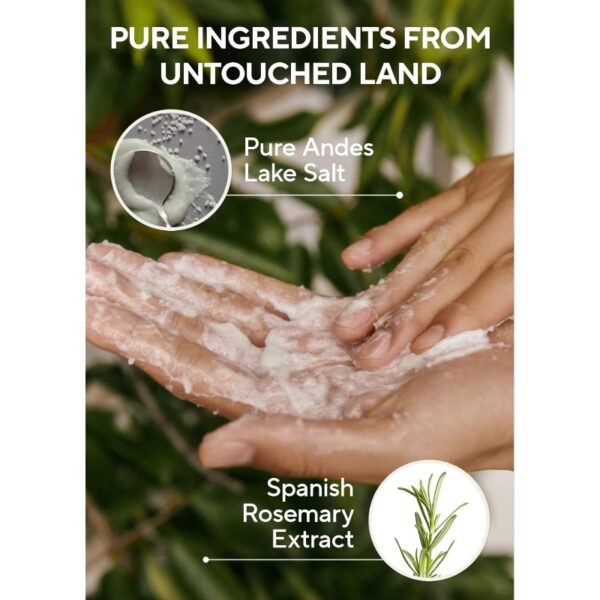 AROMATICA Rosemary Salt Scrub Shampoo Special Set (+Conditioner) - Image 5