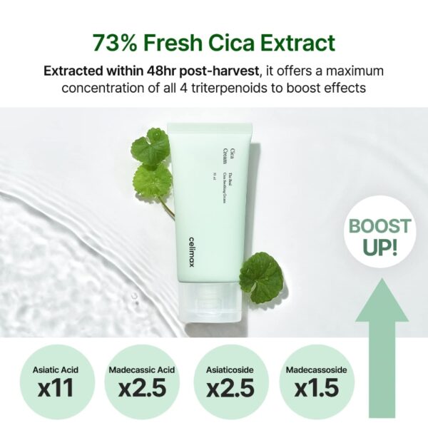 Celimax The Real Cica Soothing Cream - Image 2