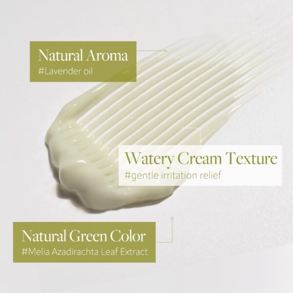 d'Alba Mild Skin Balancing Vegan Cream(+Cleanser 3 kit +Double Serum & Cream mini) - Image 3