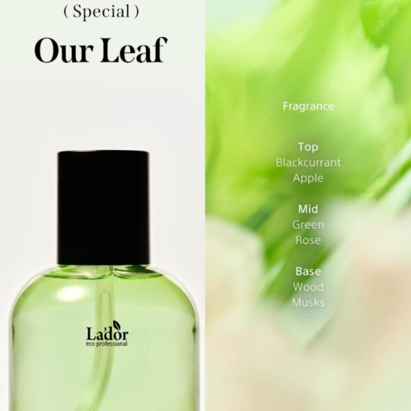 L’ador Perfume Hair Oil Our Leaf 80ml Set (+Osmanthus 10ml) - Image 4