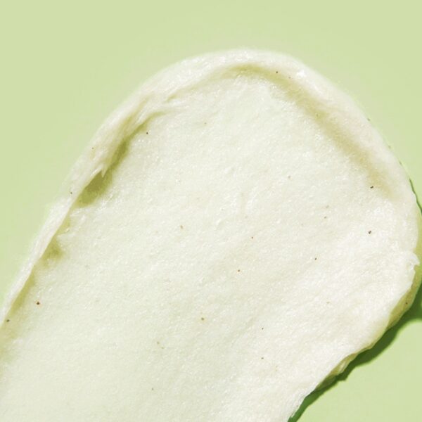 ROUND A'ROUND Comfort Green Tea Purifying Cleansing Foam 200mL(+200mL+Cat Jelly pore brush) - Image 4