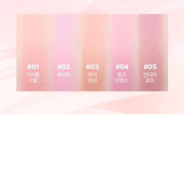 WAKEMAKE Sheer Layering Dual Blusher Bursh Set [#2 Colors] - Image 8
