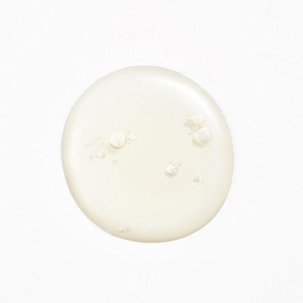 DEMAR3 Signature Estud Protector 5.2 - Image 6