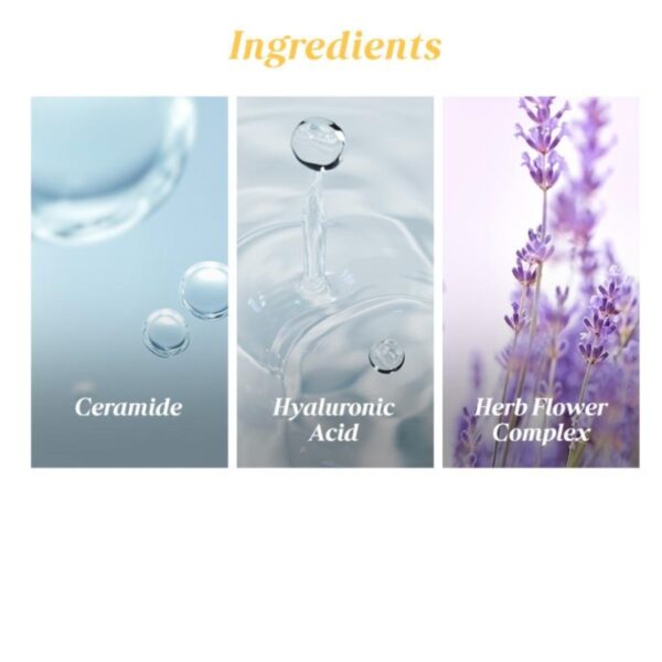 MANYO Pure & Deep Cleansing Foam - Image 7