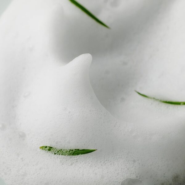 SOME BY MI AHA BHA PHA 30 Days Miracle Acne Clear Foam - Image 4