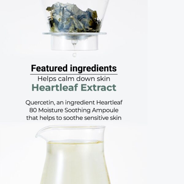 Anua Heartleaf 80% Soothing Ampoule - Image 4