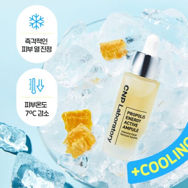 Atom x CNP Propolis Active Ampoule 50ml Refill Set (+Atro Boy Socks) - Image 5