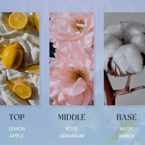 Daleaf Glam Styling Fixer (+30ml) - Image 5
