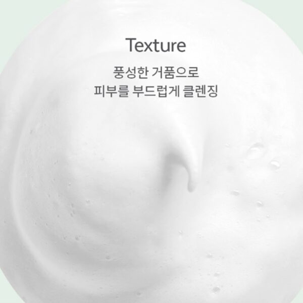 Apieu Tea Tree Cleansing Foam 200ml - Image 4