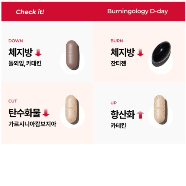 FOODOLOGY Burningology D-day (5-day supply) - Image 2