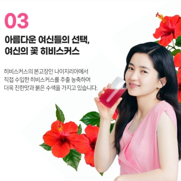 Teazen Kombucha Drink Mix [#Hibiscus] - Image 6