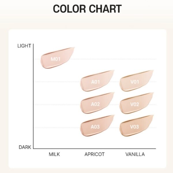 VDL Cover Stain Perfecting Foundation Set (+handy foundation +puff) - Image 8